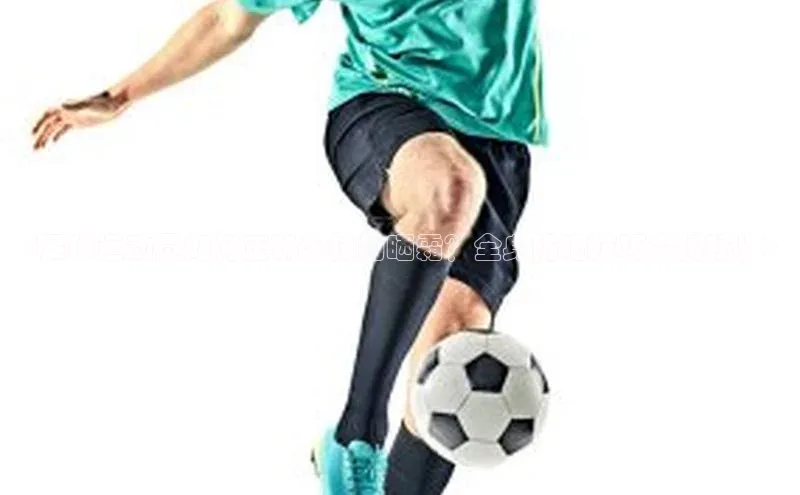 杏悦会员官网登录入口百度网盘企业版