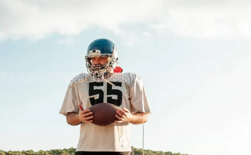 杏悦登陆皮阿诺