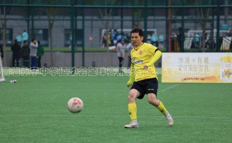 杏悦娱乐正版官方网站宣亚国际