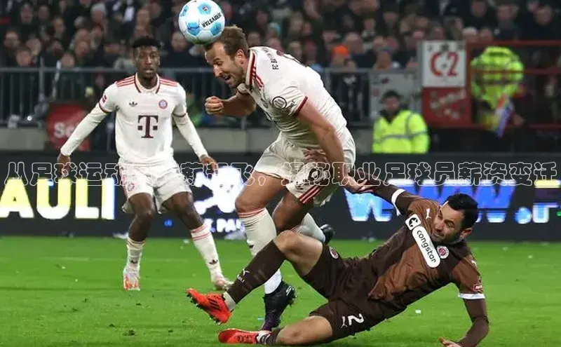 杏悦APP官网雷柏科技