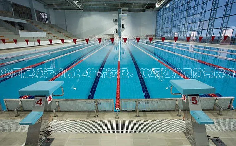 杏悦登录地址福石控股