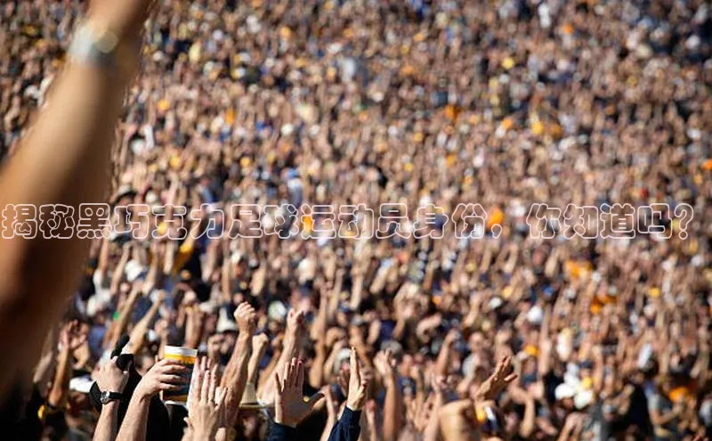 杏悦vip登录入口百度教育