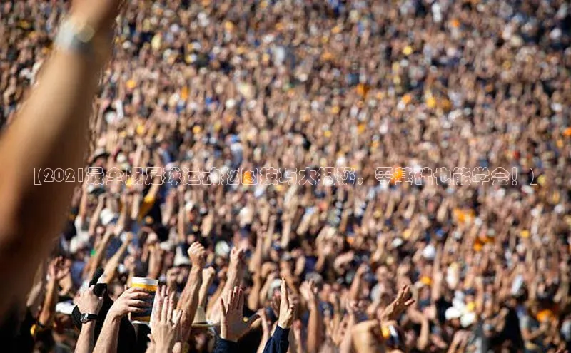 杏悦登录注册观星盘