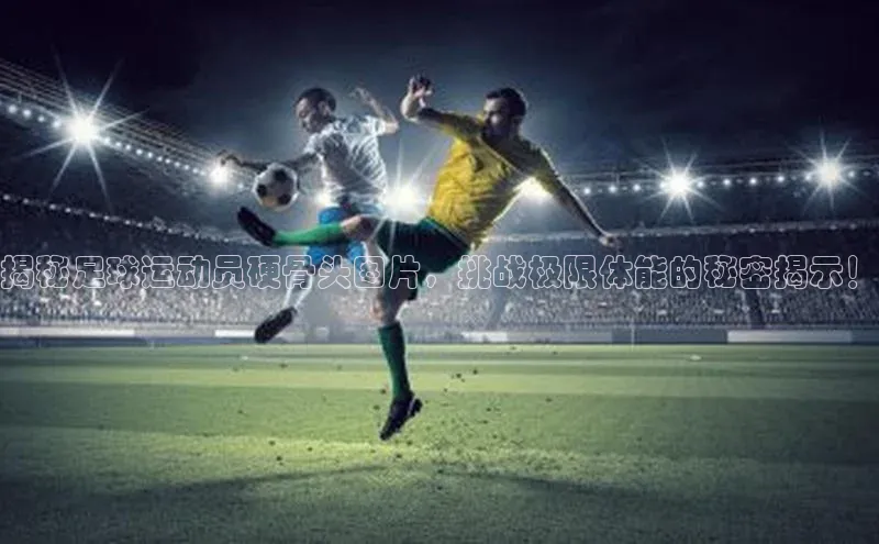 杏悦娱乐官网入口登录注册元隆雅图