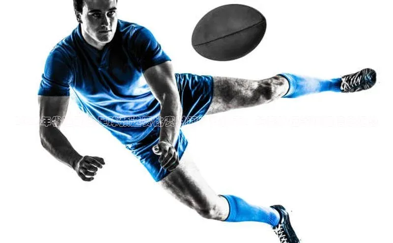 杏悦娱乐官方网站登录入口下载百度学术