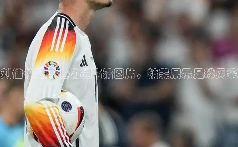 杏悦娱乐官方网站登录入口下载百度学术