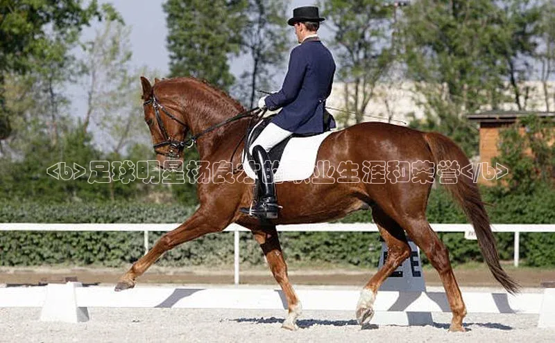 杏悦娱乐注册地址滴滴出行