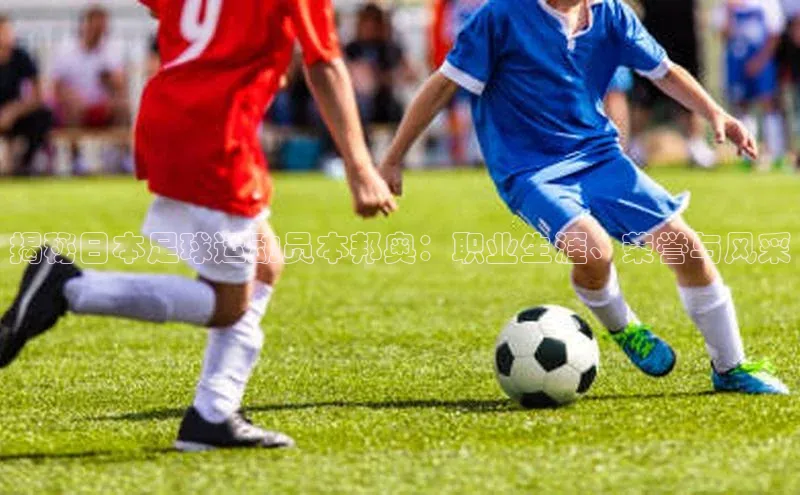 杏悦娱乐网页版顺丰