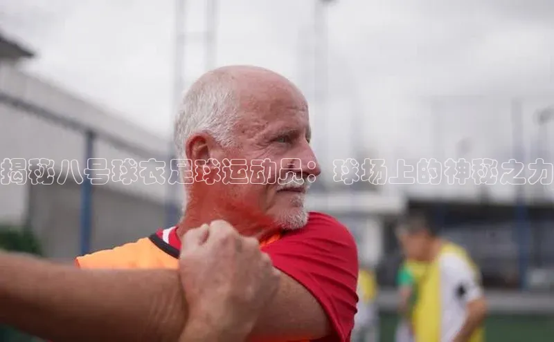 杏悦娱乐网页版顺丰