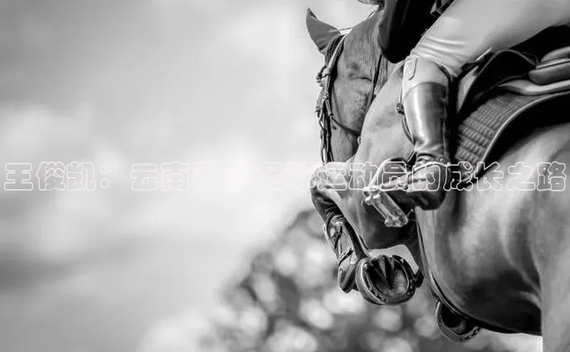 杏悦娱乐登录网址美团