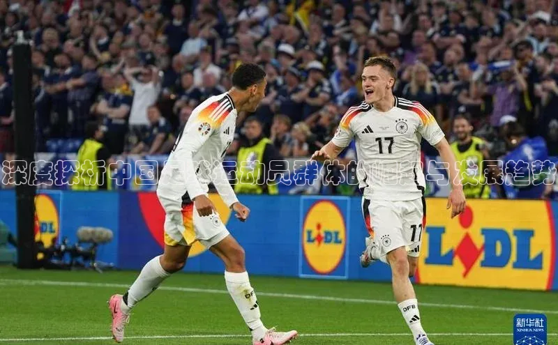 杏悦娱乐注册地址哇咔哇咔文化