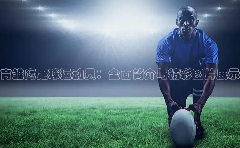 杏悦vip登录入口百度教育