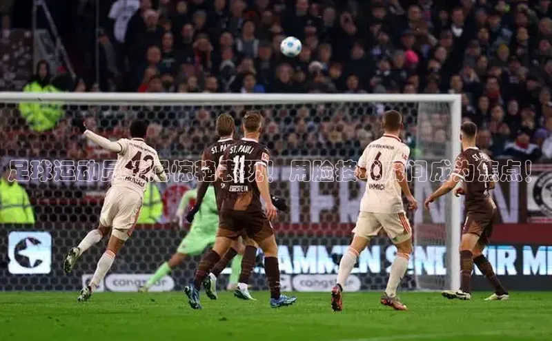 杏悦1平台注册入口百家号