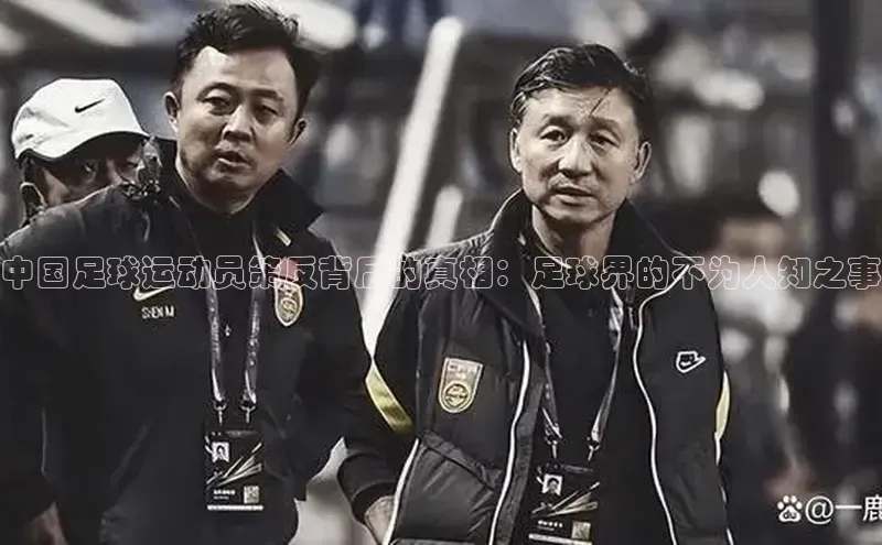 杏悦娱乐登录注册百度翻译App