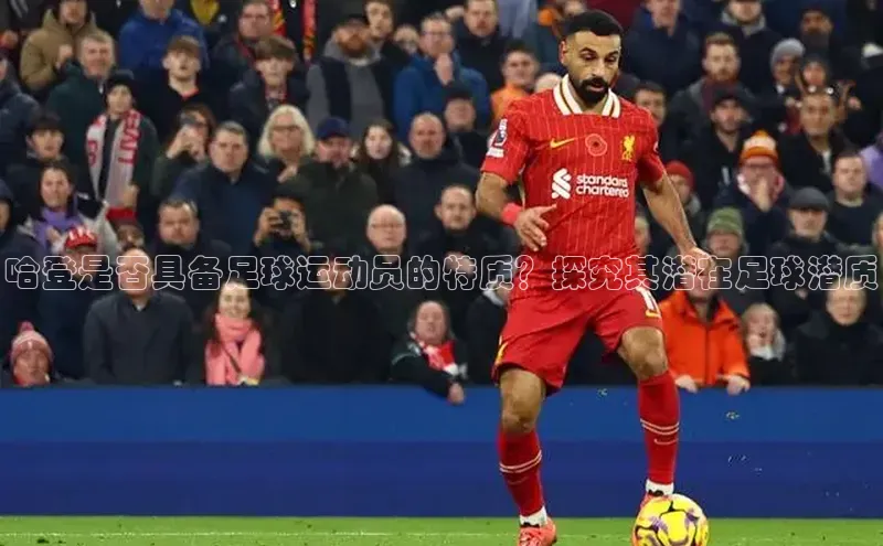 杏悦登录注册阿里尔公司