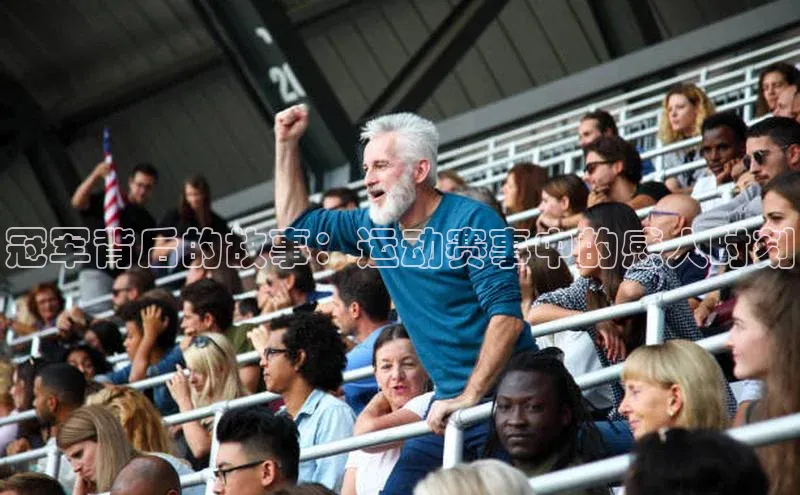 杏悦vip登录入口京东