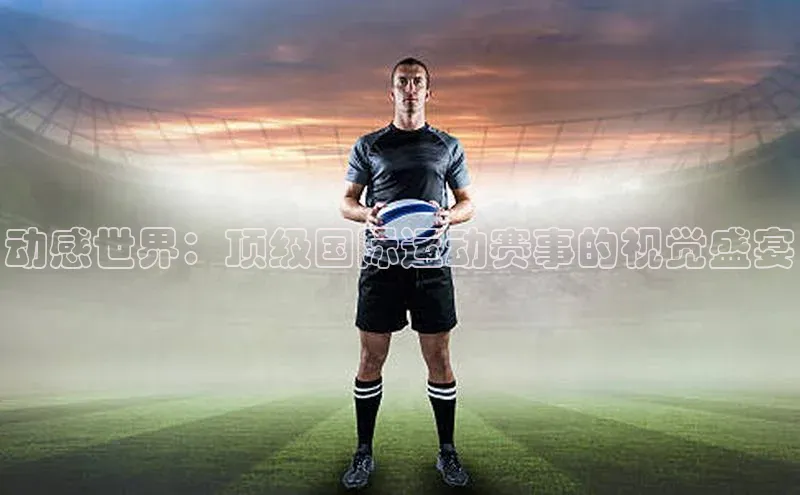 杏宇代理登录中心