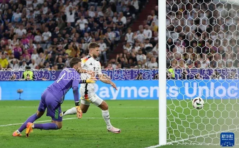 杏宇手游官网入口最新版本更新内容