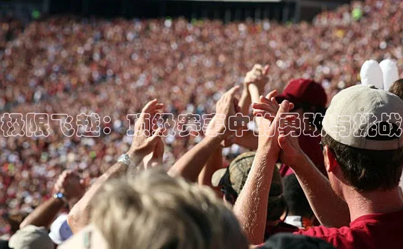 杏宇平台登录入口2024最新版