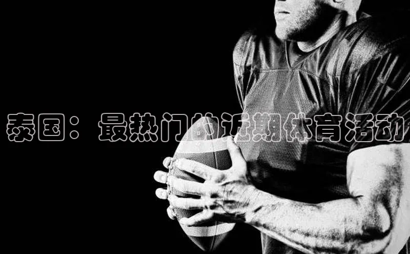 杏宇代理登录中心