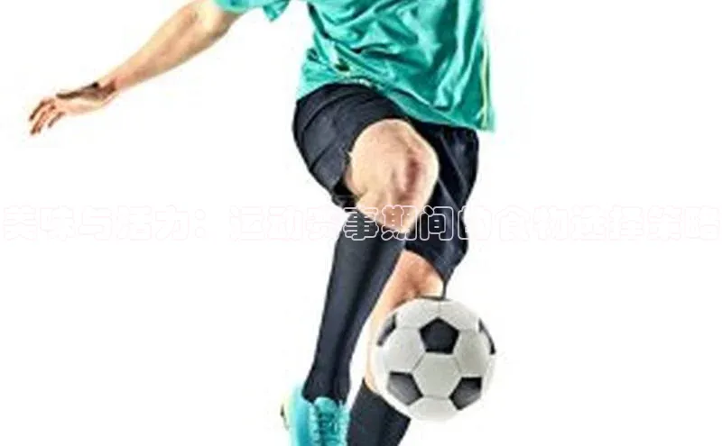 杏宇代理登录中心