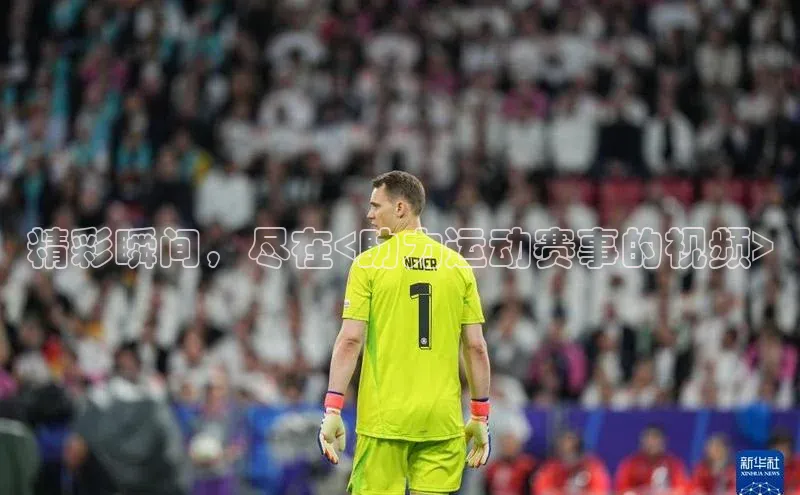 杏宇娱乐平台登录