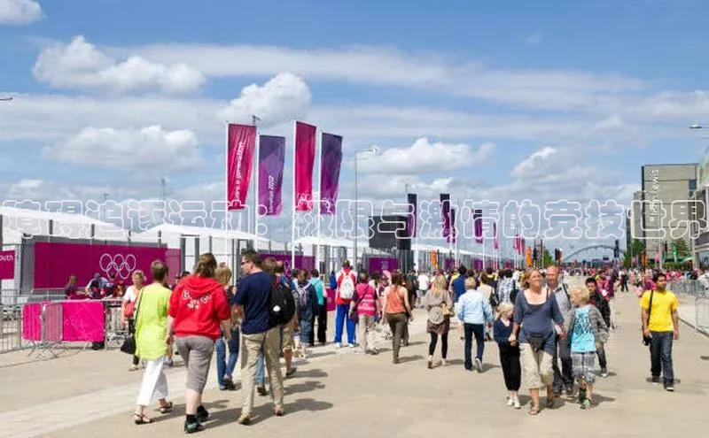 杏宇娱乐平台登录