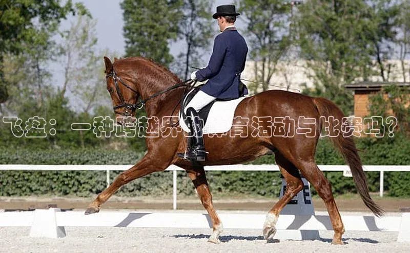 杏宇娱乐平台登录