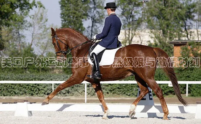 杏宇注册平台登录