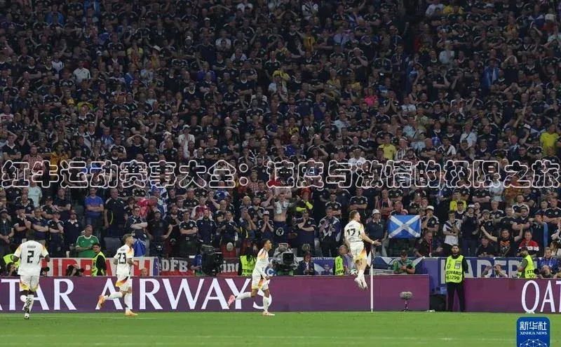 杏宇平台登录入口2024最新版