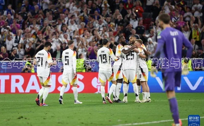 杏宇平台登录入口2024最新版