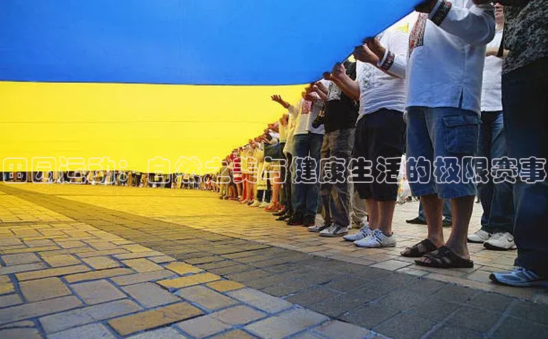 杏宇娱乐平台登录