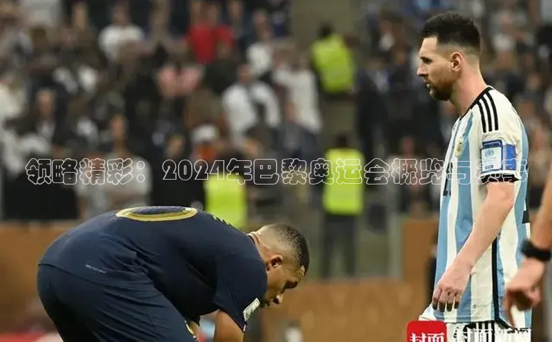 杏宇代理登录中心