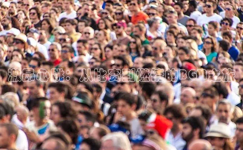 杏宇平台登录首页