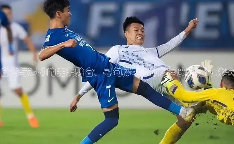 杏宇娱乐app官方下载