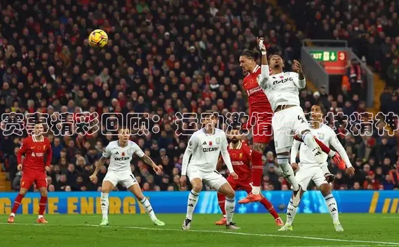 杏宇手游官网入口最新版本更新内容