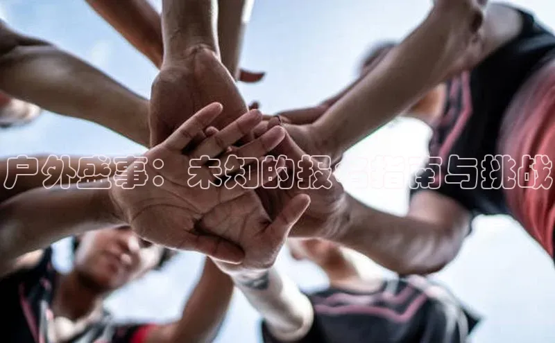 杏宇平台登录入口2024最新版