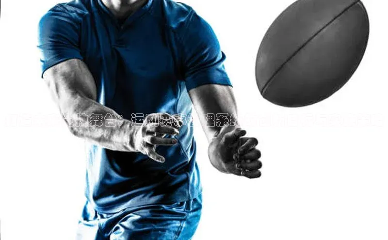 杏宇平台登录官网