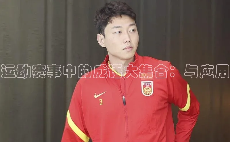 杏宇手游官网入口最新版本更新内容