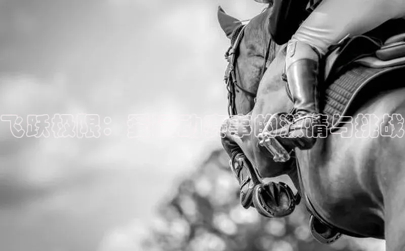 杏宇代理登录中心