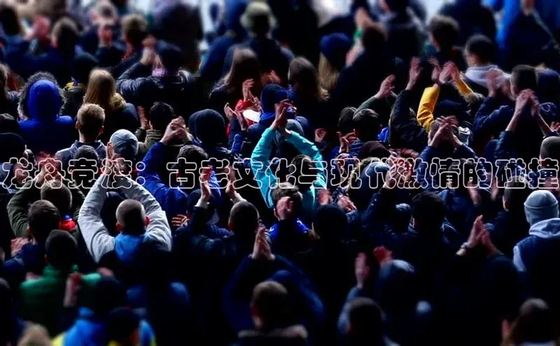 杏宇手游官网入口最新版本更新内容