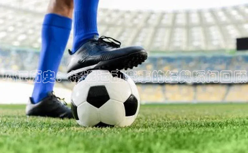 杏宇手游官网入口最新版本更新内容