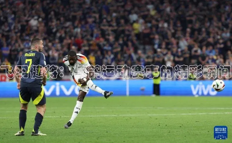 杏宇代理登录中心