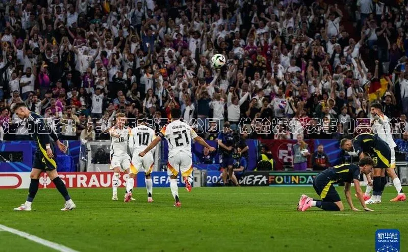 杏宇平台登录入口2024最新版