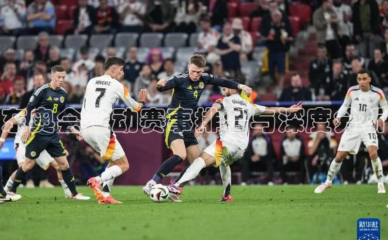 杏宇娱乐平台登录